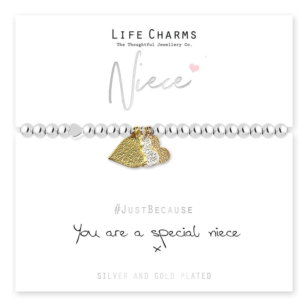 luscious scarves Bracelets Life Charms Silver,Gold and Rose Plated Special Niece Bracelet with gift box