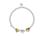 Load image into Gallery viewer, luscious scarves Bracelets Life Charms Silver Plated Amazing Aunty Bracelet with gift box
