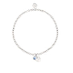 Load image into Gallery viewer, luscious scarves Bracelets Life Charms Silver Plated Bride To Be Bracelet with gift box
