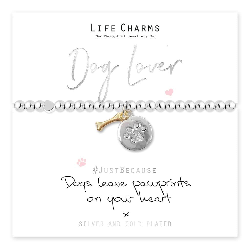 luscious scarves Bracelets Life Charms Silver Plated Dog Lover Bracelet with gift box