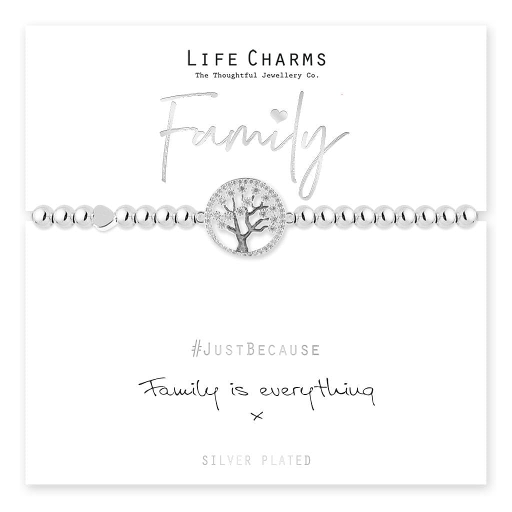 luscious scarves Bracelets Life Charms Silver Plated Family is Everything Bracelet with gift box