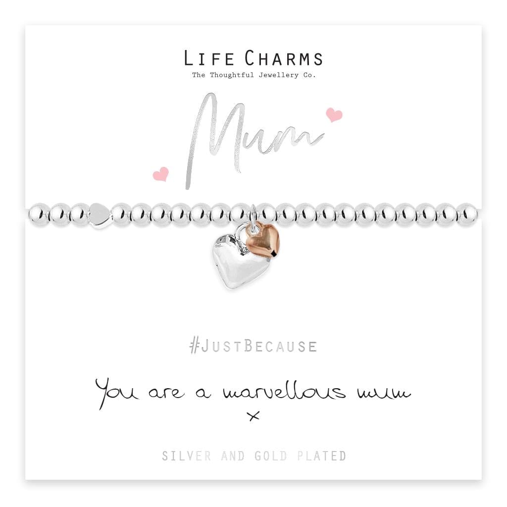 luscious scarves Bracelets Life Charms Silver Plated Marvellous Mum Bracelet with gift box
