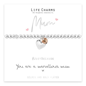 luscious scarves Bracelets Life Charms Silver Plated Marvellous Mum Bracelet with gift box