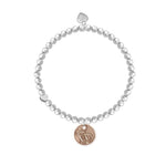 Load image into Gallery viewer, luscious scarves Bracelets Life Charms Silver Plated New Mum Bracelet with gift box
