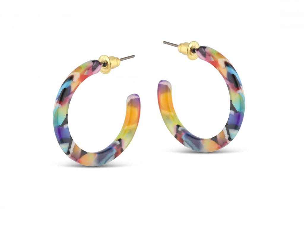 luscious scarves Earrings Big Metal Emily Small Hoop Resin Earrings , Red , Blue and Multi.