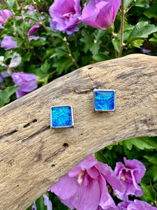 luscious scarves Earrings Miss Milly Iridescent Blue Square Stud Earrings FE665BLIR