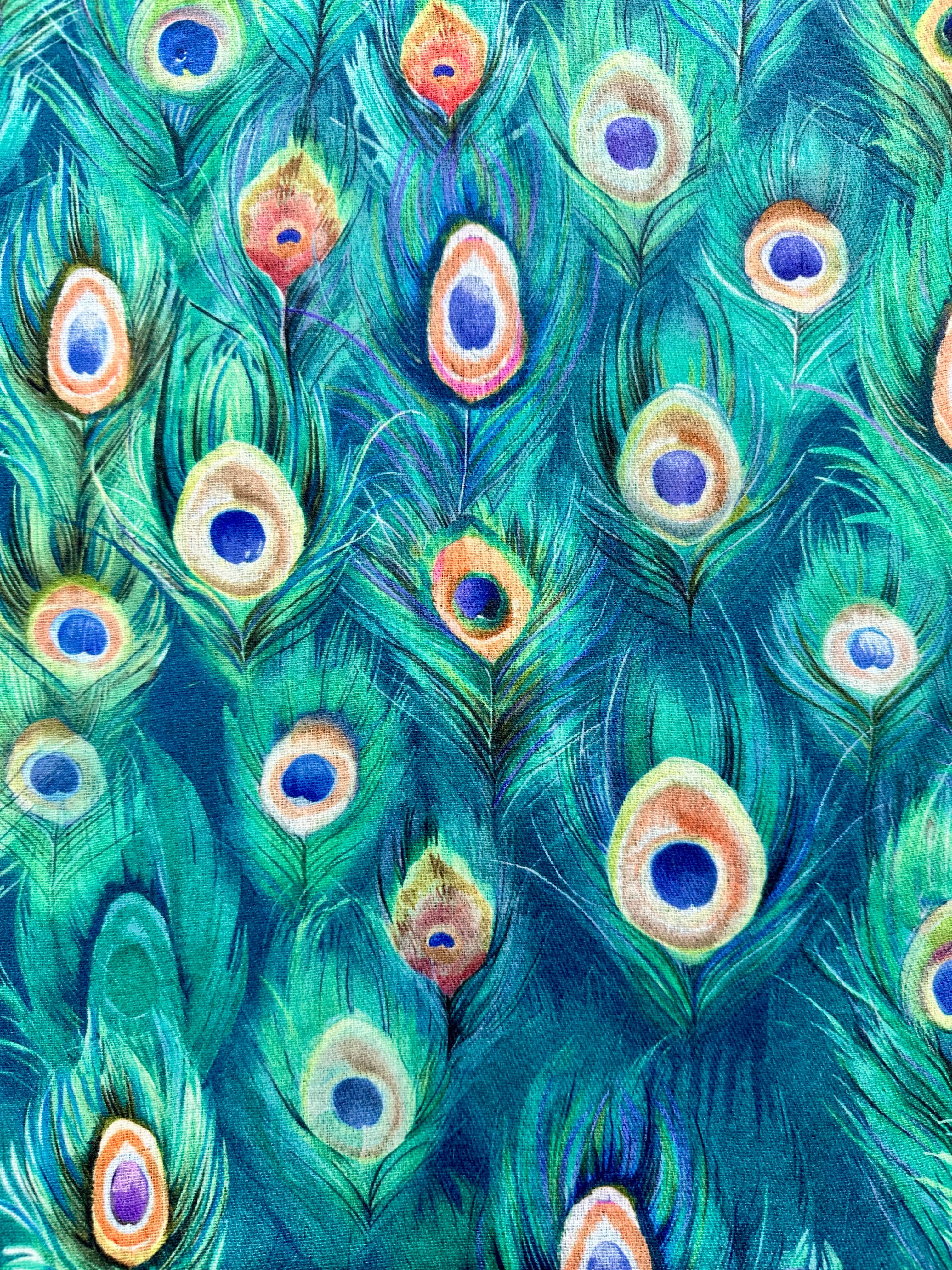 luscious scarves Scarves & Shawls Ladies Medium Weight Peacocks Feathers Design Scarf, Green.