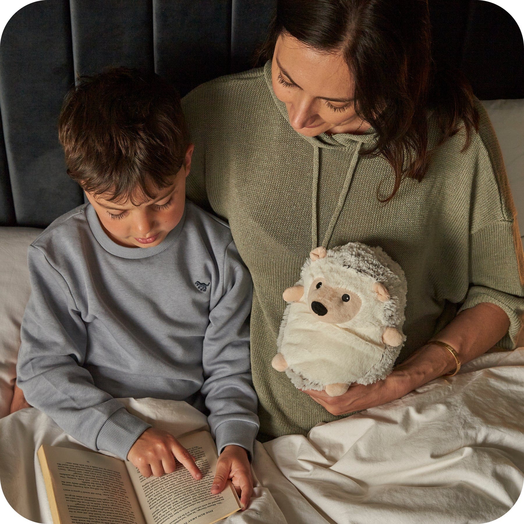 luscious scarves Warmies Fully Heatable Microvable Plush Toy Beige Hedgehog.