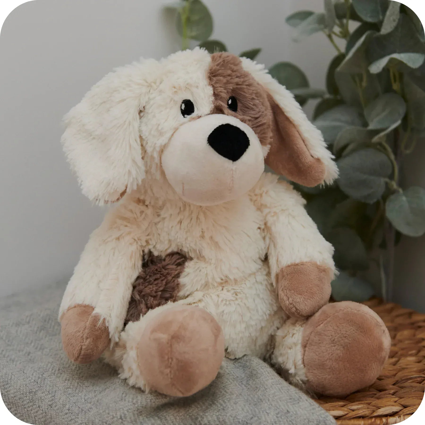 luscious scarves Warmies Fully Heatable Microvable Plush Toy .Cream and Biege Patch Puppy