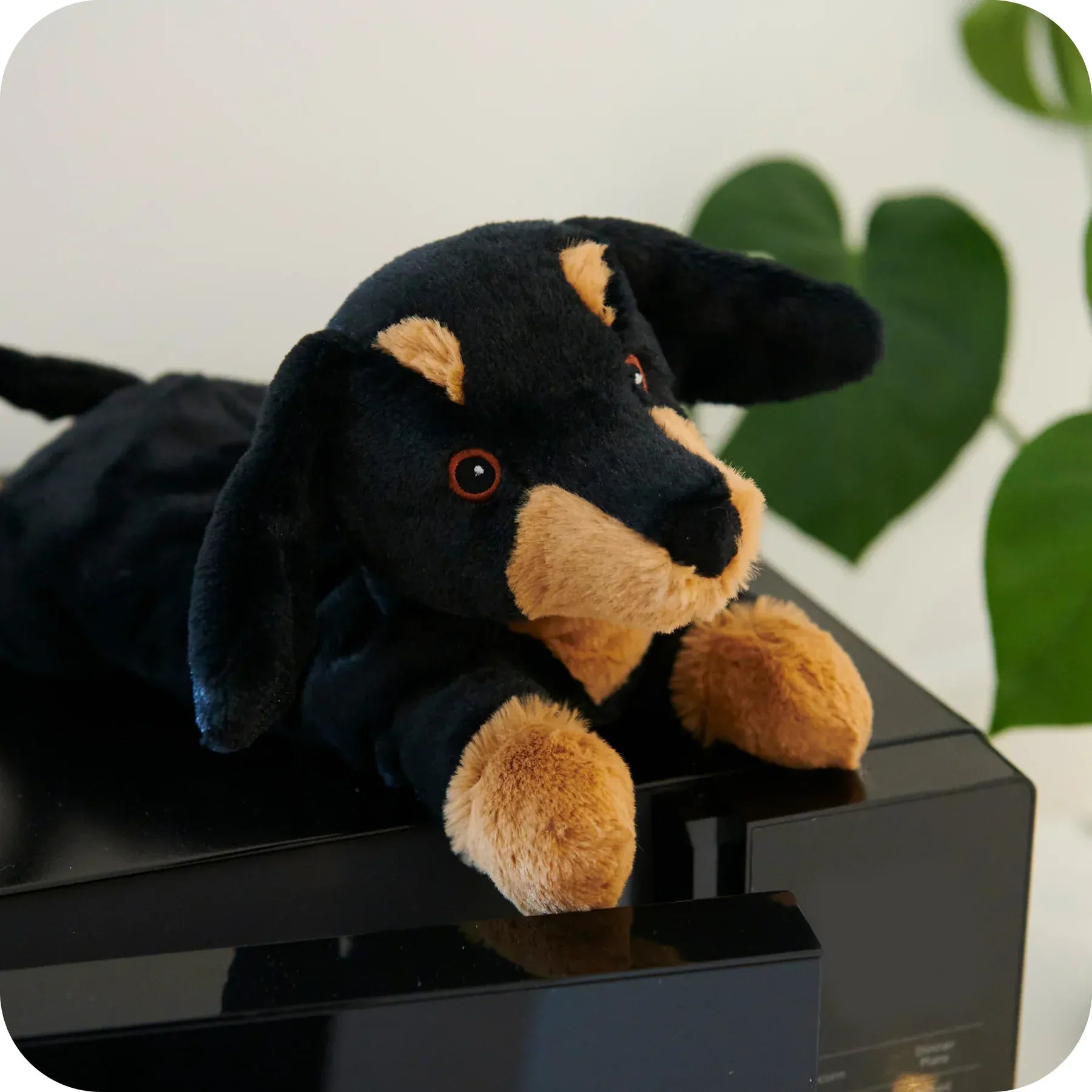 luscious scarves Warmies Fully Heatable Microvable Plush Toy .Dachshund
