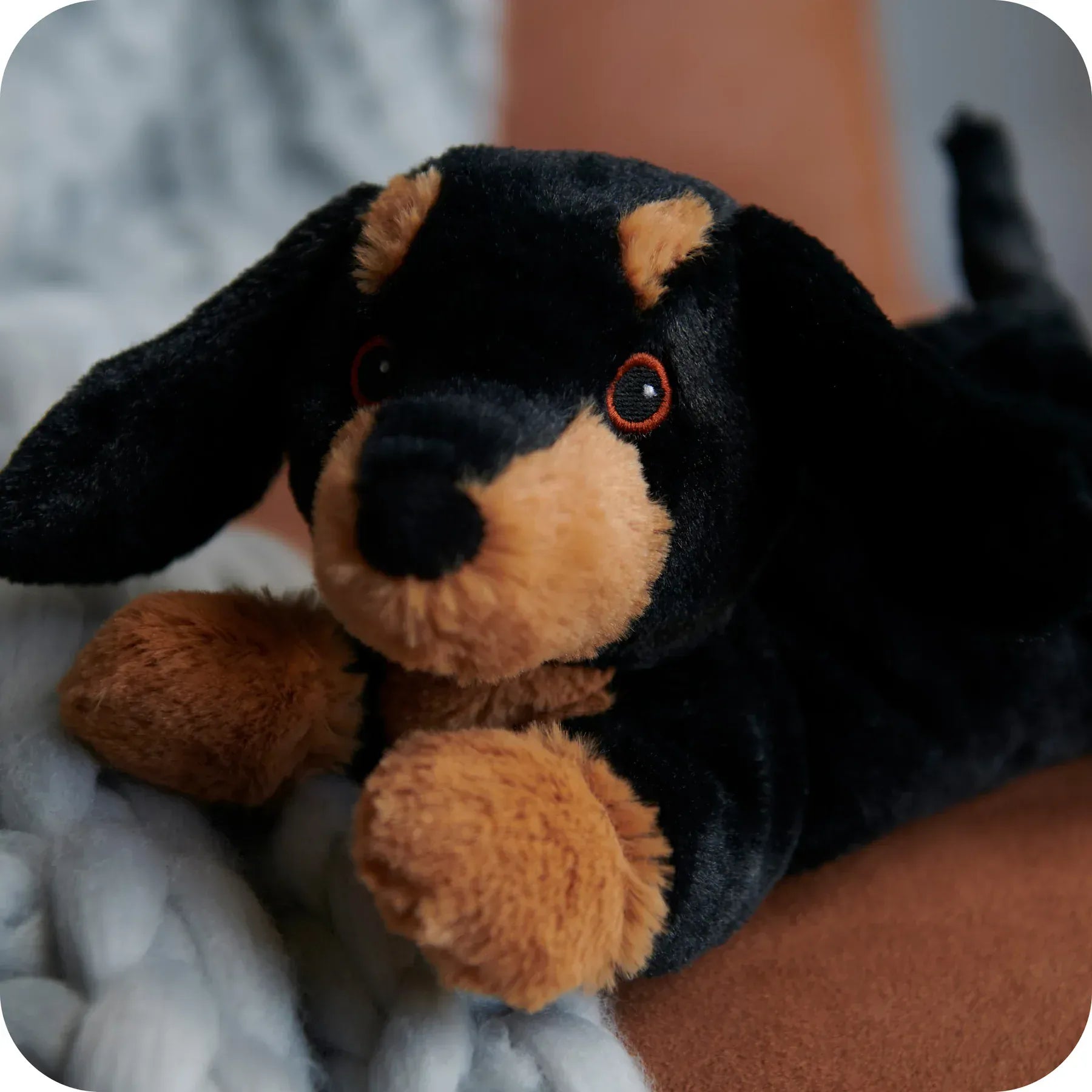 luscious scarves Warmies Fully Heatable Microvable Plush Toy .Dachshund