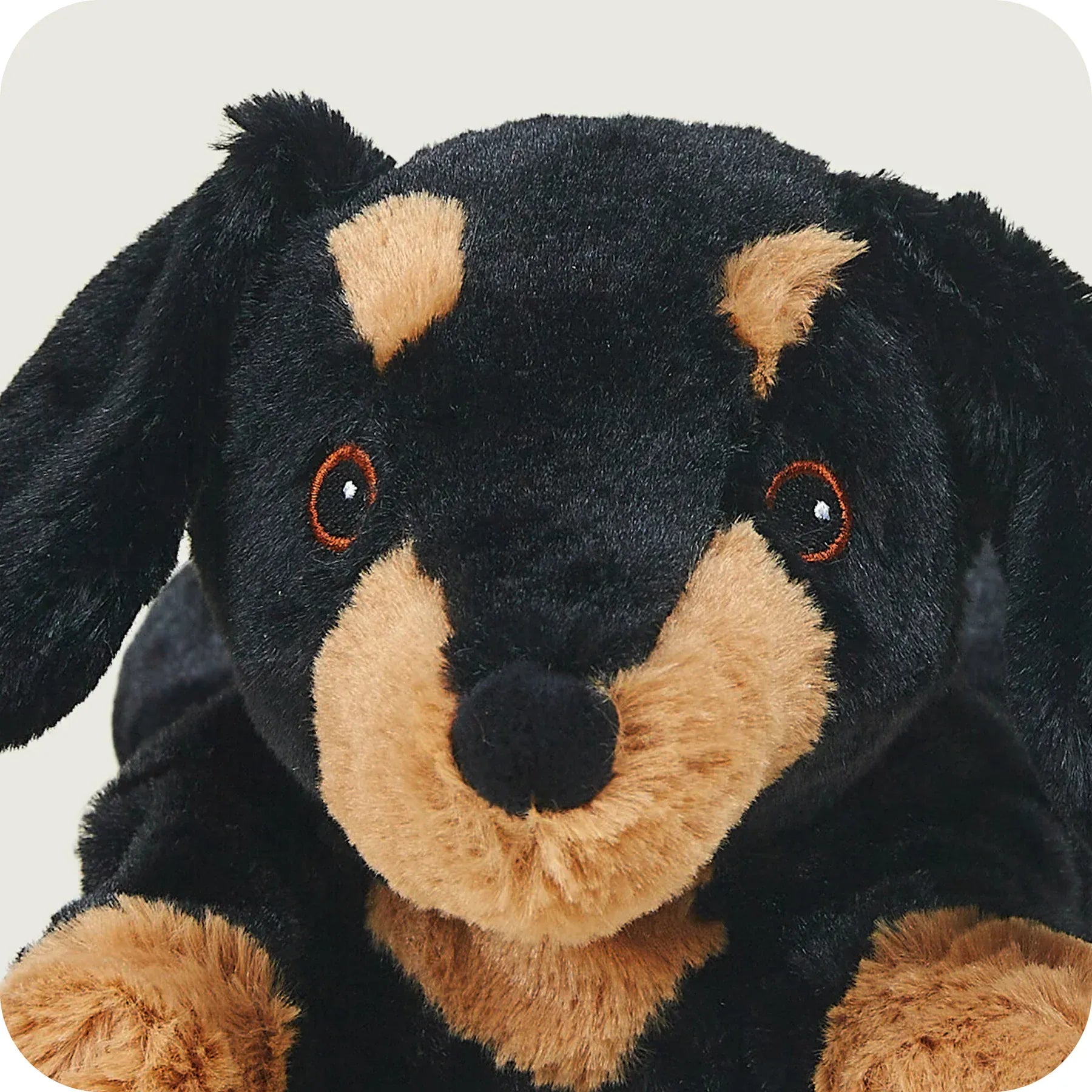 luscious scarves Warmies Fully Heatable Microvable Plush Toy .Dachshund