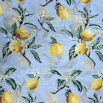 Load image into Gallery viewer, lusciousscarves Scarves Pale Blue Lemon citrus print Scarf, Light Weight .
