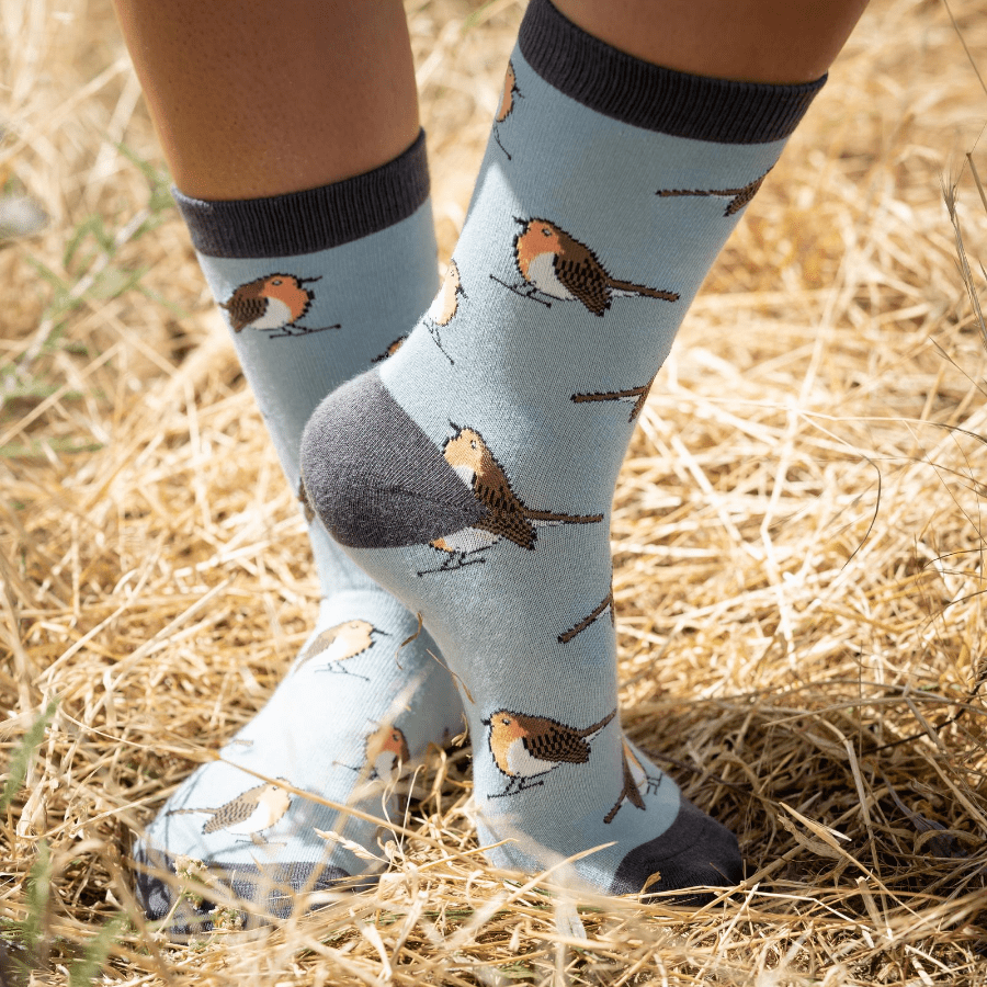 lusciousscarves Socks Miss Sparrow Robins Bamboo Socks - Pale Blue